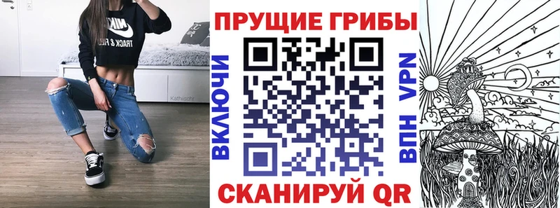 Галлюциногенные грибы Magic Shrooms  продажа наркотиков  Элиста 