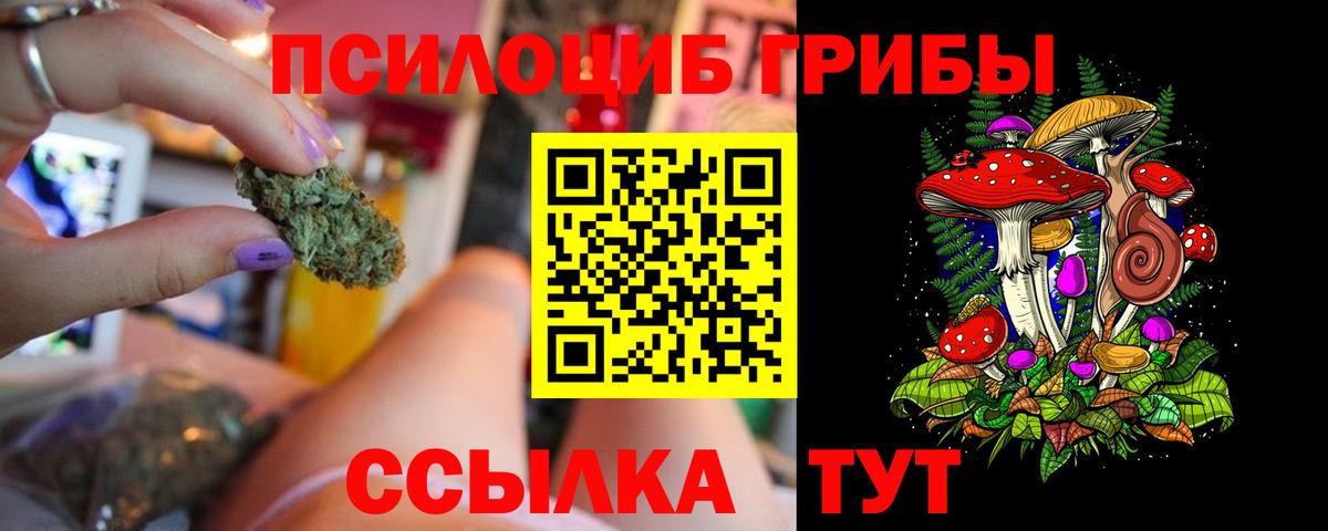 Псилоцибиновые грибы Cubensis Элиста