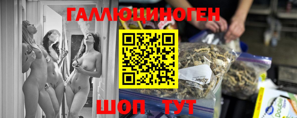 наркотики  Вход с VPN  Элиста  Псилоцибиновые грибы ЛСД 