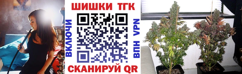 где найти   Элиста  кракен ССЫЛКА  Марихуана Amnesia 